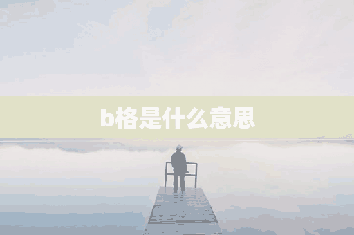 b格是什么意思